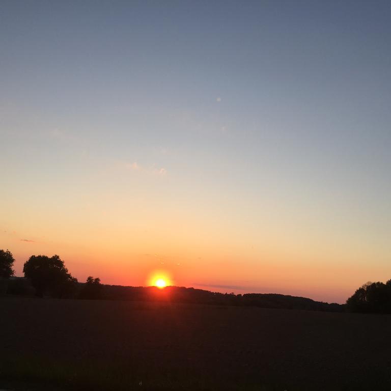 Gasthof Zur Goldenen Sonne Pasawa Zewnętrze zdjęcie